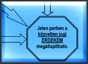 Jelen perben a közvetlen jogi érdekem megállapítható.