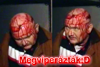 Csintalant megviperázták! :D