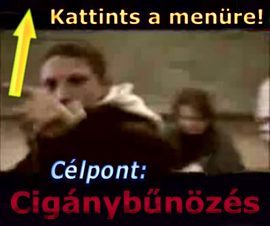 Célpont - Cigánybűnözés