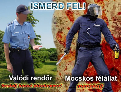 Ismerd fel a férgeket!