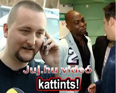 Tomcat celeb lett. - Kattints a videóhoz!