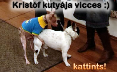Krisfóf kutyája vicces! - kattints!