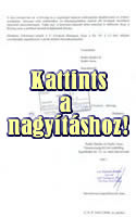 Bevavatkozási kérelem a Gyurcsány elleni perben - Második oldal - Kattints a nagyításhoz!