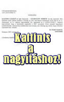 Végzés a Gyurcsány elleni perben benyújtott beavatkozási kérelem ügyében - Kattints a nagyításhoz!