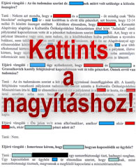 Vallomásrészlet SoDI Zuschlag ügyéről - Kattints a nagyításhoz!