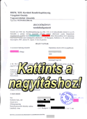 Első rendőrségi kihallgatásom a lakásmaffia-ügyemben. - Első oldal. - Kattints a nagyításhoz!