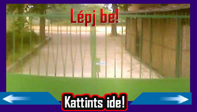Járd be a Montessori Oktatási Centrumot! - Kattints ide!