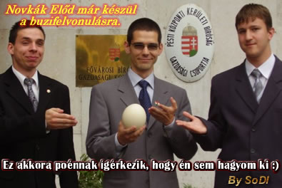 Novák Előd felkészült