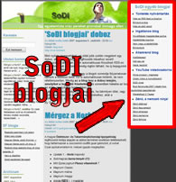 SoDI blogjai