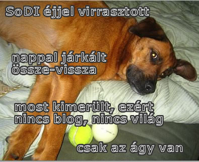 Csak az ágy
