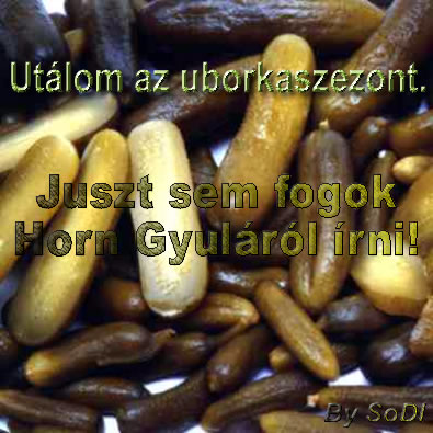 Utálom az uborkaszezont!