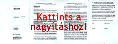 Gonda László tipográfiai terve a beadványhoz - Kattints a nagyításhoz!