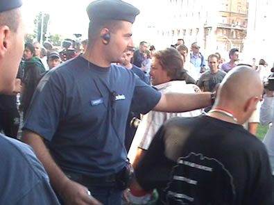 Hazafiak terelése